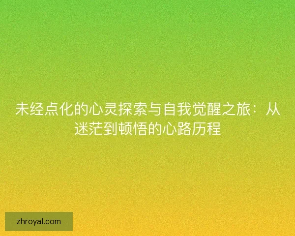 未经点化的心灵探索与自我觉醒之旅：从迷茫到顿悟的心路历程